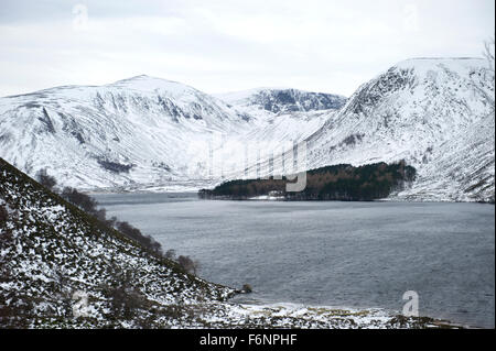 Suche entlang Loch Muick in Richtung der entfernten breiten Cairn Allt ein Dubh Loch und der waldreichen Umgebung Glas Allt Shiel Stockfoto