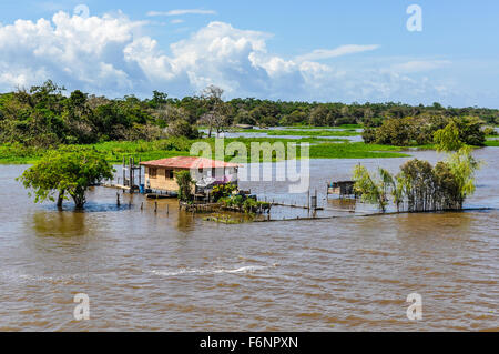 Regenzeit wie gesehen vom Boot auf dem Amazonas in Brasilien. Stockfoto