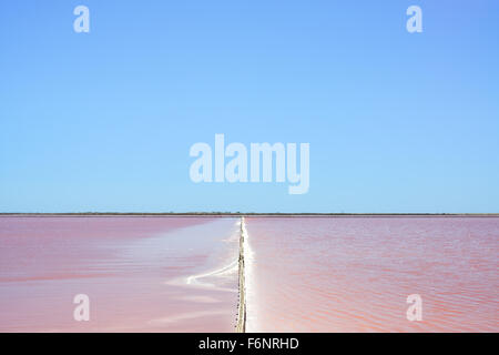 Camargue-Park, Landschaft Giraud rosa Salinen. Rhone-Delta, Provence, Frankreich. Stockfoto