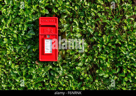 Ein roten Briefkasten der Royal Mail ist in Chippenham, Wiltshire abgebildet. Stockfoto