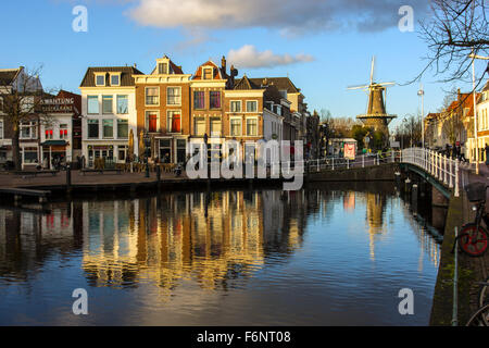 Leiden-Reflexion der Häuser und Windmühle in Kanal Stockfoto