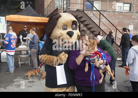 Hund trifft Hund auf einer Halloween-Party, gesponsert von einem Animal Rescue Center in Windsor Terrace, Brooklyn. NY. Stockfoto