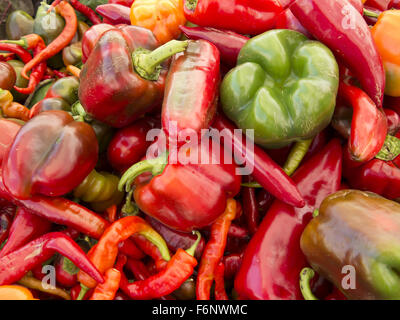 Eine Vielzahl von bunten Paprika zum Verkauf an der Grand Army Plaza Farmers Market in Brooklyn, New York. Stockfoto