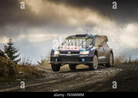 Andreas Mikkelsen & Ola Fløene auf SS6 Myherin, Wales Rallye GB 2015, WRC. 09 Volkswagen Motorsport, Polo R WRC, Aktion Stockfoto