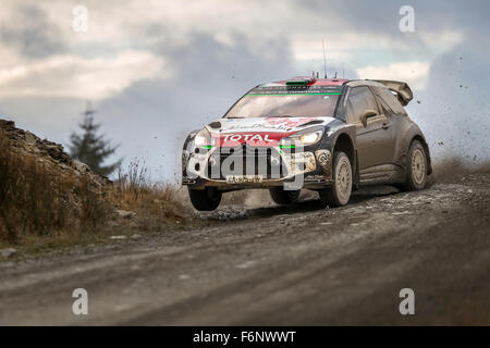 Kris Meeke & Paul Nagle, SS6 Myherin Wales Rallye GB 2015 WRC. 03 Citroen Total Abu Dhabi WRT DS3 WRC, Action Stockfoto