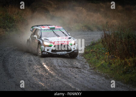 Kris Meeke & Paul Nagle, SS8 Dyfi Wales Rallye GB 2015 WRC. 03 Citroen Total Abu Dhabi WRT DS3 WRC, Action Stockfoto