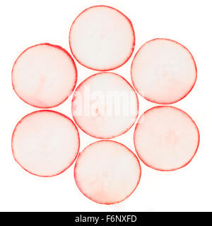 Radieschen in Blütenform auf weißem Hintergrund angeordnet Stockfoto