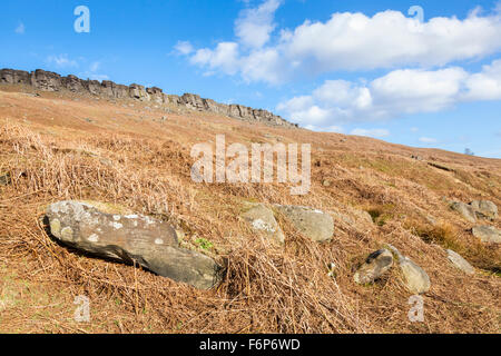 Einen Hügel der Toten Adlerfarn auf einem Moor mit stanage Edge, einer von mehreren lokalen gritstone Kanten, in der Ferne. Peak District, Derbyshire, England, Großbritannien Stockfoto