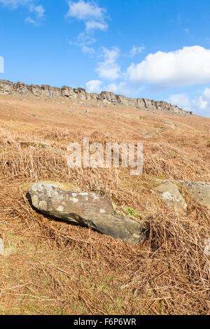 Einem Hügel der alten Adlerfarn auf moorland mit stanage Edge in der Ferne. Peak District, Derbyshire, England, Großbritannien Stockfoto