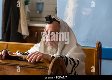 Ein jüdischer Mann in Gebetsschal Lesen der Tora in einer Synagoge in Safed, Golanhöhen, Israel, Naher Osten. Stockfoto