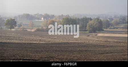 Nebligen Herbstmorgen auf gepflügten Felder und bunte Bäume in der Nähe von Dorf Grodziszcze Niederschlesien Stockfoto