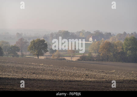 Nebligen Herbstmorgen auf gepflügten Felder und bunte Bäume in der Nähe von Dorf Grodziszcze Niederschlesien Stockfoto