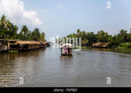 Backwaters in Kerala, Indien. Die Backwaters sind ein ausgedehntes Netz von 41 west fließen ineinander greifenden Flüssen, Seen und Kanälen th Stockfoto