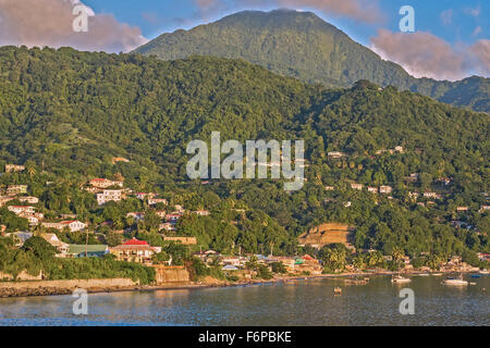 Blick auf den Regenwald Dominica West Indies Stockfoto