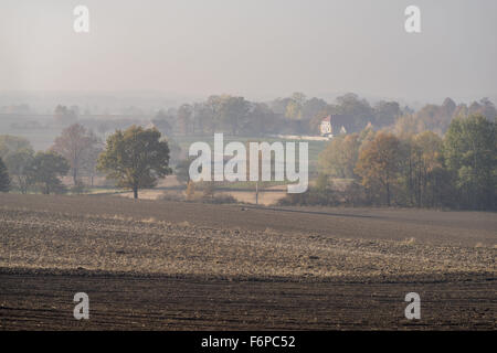 Nebligen Herbstmorgen auf gepflügten Felder und bunte Bäume in der Nähe von Dorf Grodziszcze Niederschlesien Stockfoto