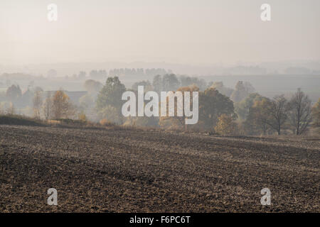 Nebligen Herbstmorgen auf gepflügten Felder und bunte Bäume in der Nähe von Dorf Grodziszcze Niederschlesien Stockfoto