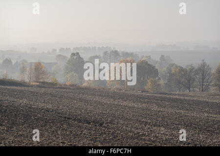 Nebligen Herbstmorgen auf gepflügten Felder und bunte Bäume in der Nähe von Dorf Grodziszcze Niederschlesien Stockfoto