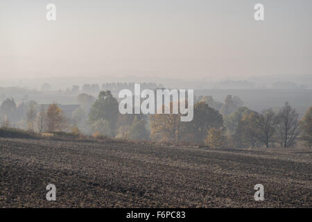 Nebligen Herbstmorgen auf gepflügten Felder und bunte Bäume in der Nähe von Dorf Grodziszcze Niederschlesien Stockfoto