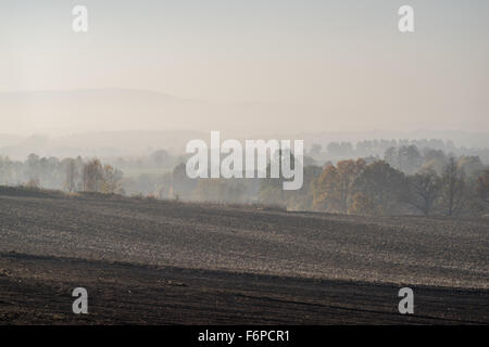 Nebligen Herbstmorgen auf gepflügten Felder und bunte Bäume in der Nähe von Dorf Grodziszcze Niederschlesien Stockfoto