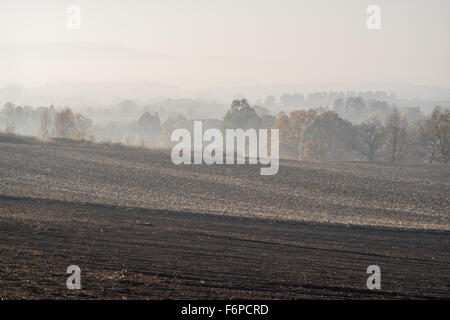 Nebligen Herbstmorgen auf gepflügten Felder und bunte Bäume in der Nähe von Dorf Grodziszcze Niederschlesien Stockfoto