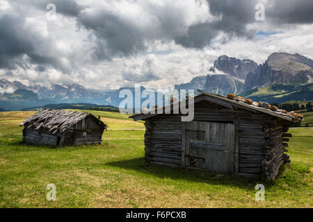 Seiseralm, Naturpark Schlern-Rosengarten, Dolomiten, Südtirol, Italien Stockfoto