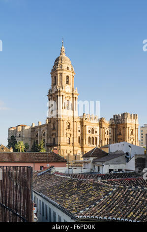 Kathedrale von Malaga Erhöhung unter Dächern. Malaga, Andalusien, Spanien Stockfoto
