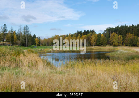 an einem Herbsttag in der Golf-Cource die Farbe ist sehr schön und der Himmel ist blau Stockfoto