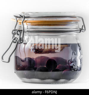 Tag 1 so dass Sloe Gin (Kilner JAR-Datei mit Gin, Schlehe Beeren, Zucker, Zimtstange) Stockfoto