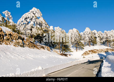 Idyllische Winterlandschaft mit Schnee und blauer Himmel im Troodos-Gebirge auf Zypern Stockfoto