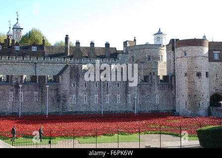 Mohn in den Tower of London Stockfoto