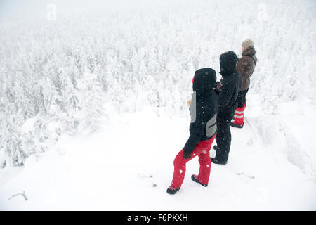 Kaukasische Wanderer auf Berggipfel bewundern, verschneiten Wald Stockfoto
