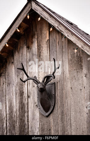 Alte Scheune mit Hirsch Kopf Dekoration in der Galerie des Künstlers David Arme in Leipers Gabel, Tennessee. Stockfoto