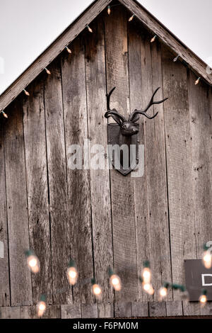 Alte Scheune mit Hirsch Kopf Dekoration in der Galerie des Künstlers David Arme in Leipers Gabel, Tennessee. Stockfoto