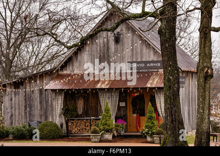 Alte Scheune und Galerie des Künstlers David Arme in Leipers Gabel, Tennessee. Stockfoto