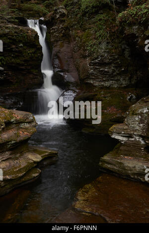 Adams fällt, Ricketts Glen State Park, Benton, Pennsylvania, USA Stockfoto