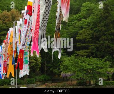 Schöne Landschaft in Rengeji-Lke Park, Fujieda, Japan Stockfoto