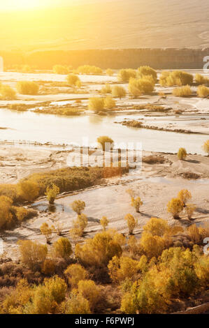 Indus Fluß im Sonnenaufgang Saison fällt, Leh, Ladakh, Jammu und Kaschmir, Nord-Indien Stockfoto