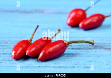 Nahaufnahme von einige kleine rote Chilischoten auf einer blauen rustikale Holzoberfläche Stockfoto
