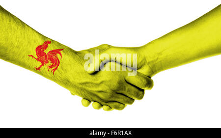 Mann und Frau, die Hände schütteln, eingehüllt in Flagge Muster, Wallonien Stockfoto