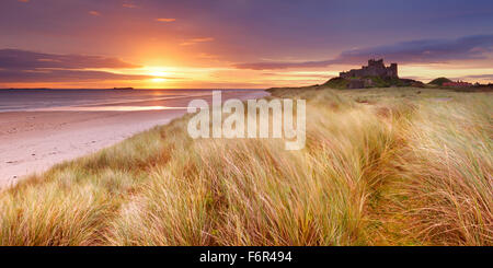 Sonnenaufgang über den Dünen bei Bamburgh, Northumberland, England mit Bamburgh Castle im Hintergrund. Stockfoto