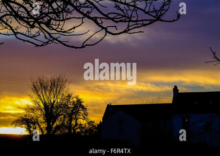 Wenig Ayton, Yorkshire, Großbritannien. 19. November 2015. Das Vereinigte Königreich vom Sturm Barney und mit weiteren extremen Wetterfronten aufgrund erholt sich folgen Sie, den Sonnenaufgang über der winzigen Dorf von kleinen Ayton in North Yorkshire brachte einen vielversprechenden Start in den Tag. Bild: Tom Yeoman / Alamy Live News Stockfoto