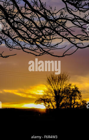 Wenig Ayton, Yorkshire, Großbritannien. 19. November 2015. Das Vereinigte Königreich vom Sturm Barney und mit weiteren extremen Wetterfronten aufgrund erholt sich folgen Sie, den Sonnenaufgang über der winzigen Dorf von kleinen Ayton in North Yorkshire brachte einen vielversprechenden Start in den Tag. Bild: Tom Yeoman / Alamy Live News Stockfoto