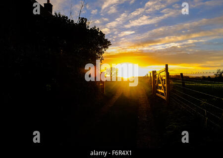 Wenig Ayton, Yorkshire, Großbritannien. 19. November 2015. Das Vereinigte Königreich vom Sturm Barney und mit weiteren extremen Wetterfronten aufgrund erholt sich folgen Sie, den Sonnenaufgang über der winzigen Dorf von kleinen Ayton in North Yorkshire brachte einen vielversprechenden Start in den Tag. Bild: Tom Yeoman / Alamy Live News Stockfoto