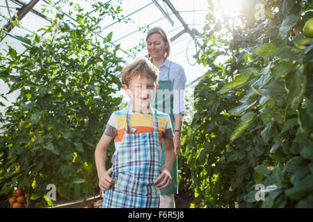 Weibliche Gärtner und junge Ernte von Tomaten im Gewächshaus Stockfoto