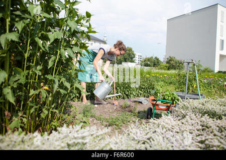 Frau arbeitet im Gemüsegarten Stockfoto