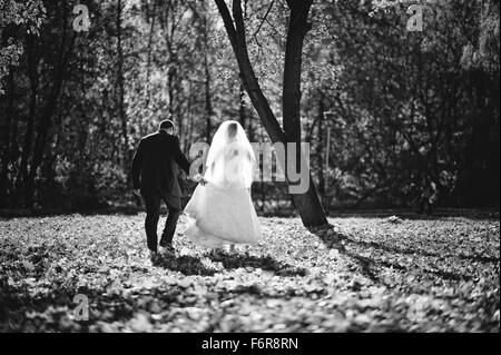 Glorreiche Brautpaar bei Herbstsonne Stockfoto