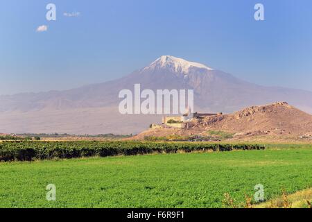 Khor Virap vor Berg Ararat, Armenien Stockfoto