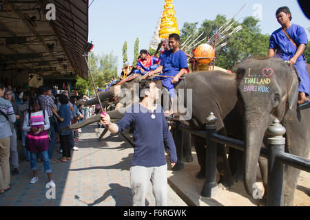 Menschen ernähren sich Elefanten an der Samphran Elefant Boden und Zoo in Nakhon Pathom etwas außerhalb von Bangkok. Stockfoto