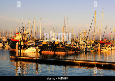 Angelboote/Fischerboote und Freizeitboote gefesselt in der Marina Santa Barbara und Handelshafen in Kalifornien Stockfoto