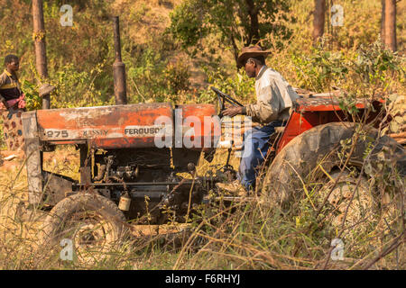 Eine sehr alte Massey Ferguson Traktor gebräuchlich ziehen von Baumstämmen, von einem Fahrer tragen alte Hut, Flugfeld, Malawi, Afrika Stockfoto